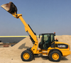 LG58T Teleskop Hoflader / Radlader